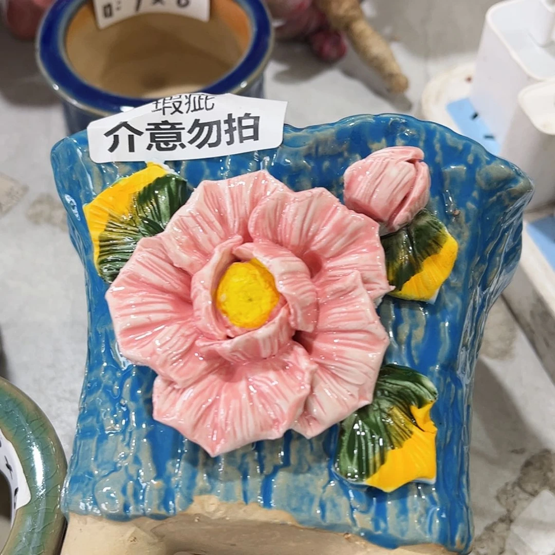 【闪购商品】红陶福利