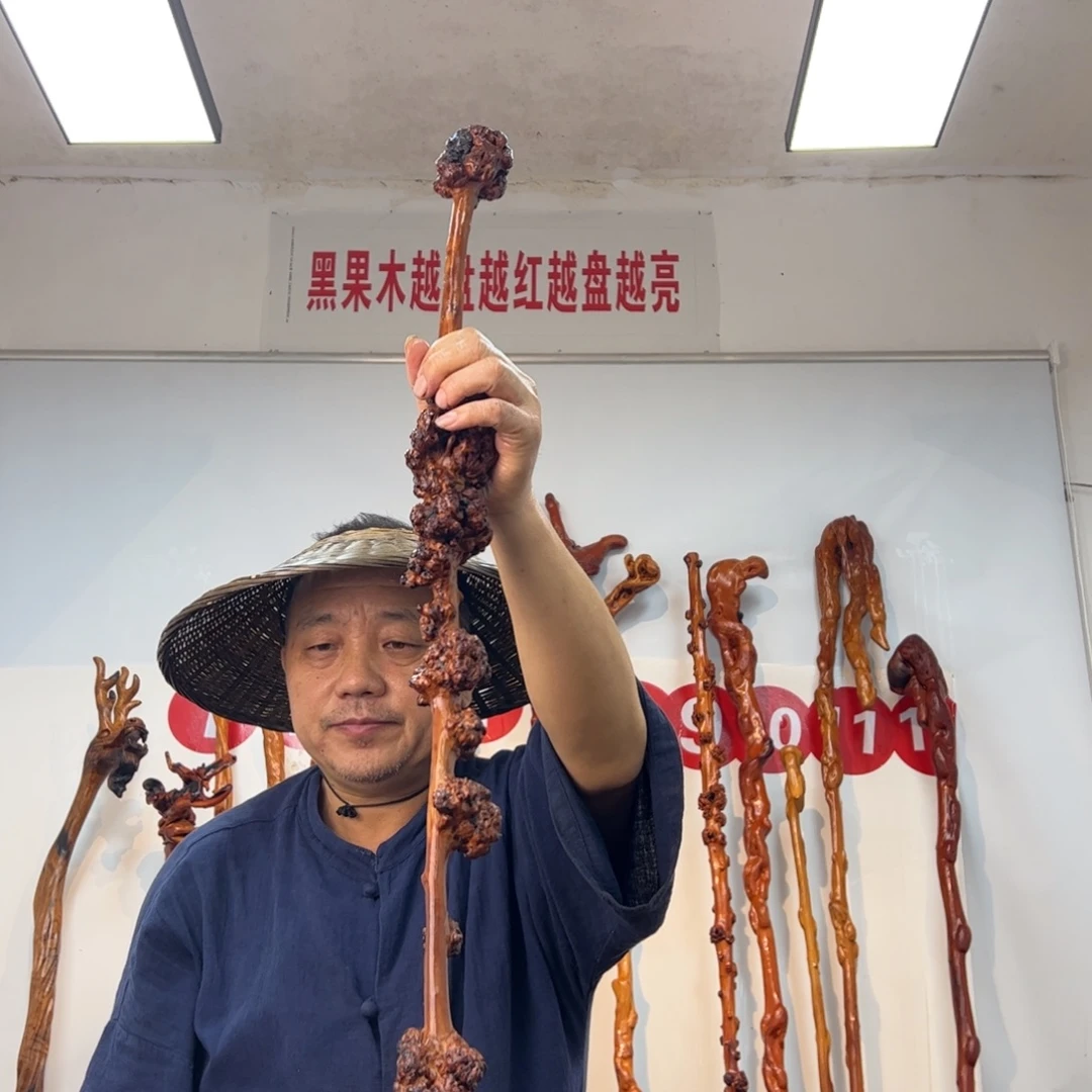 海***宁其他黑果木黑果木966