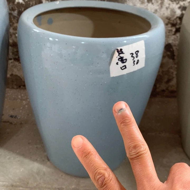 【闪购商品】高温陶瓷花盆默认瑕疵