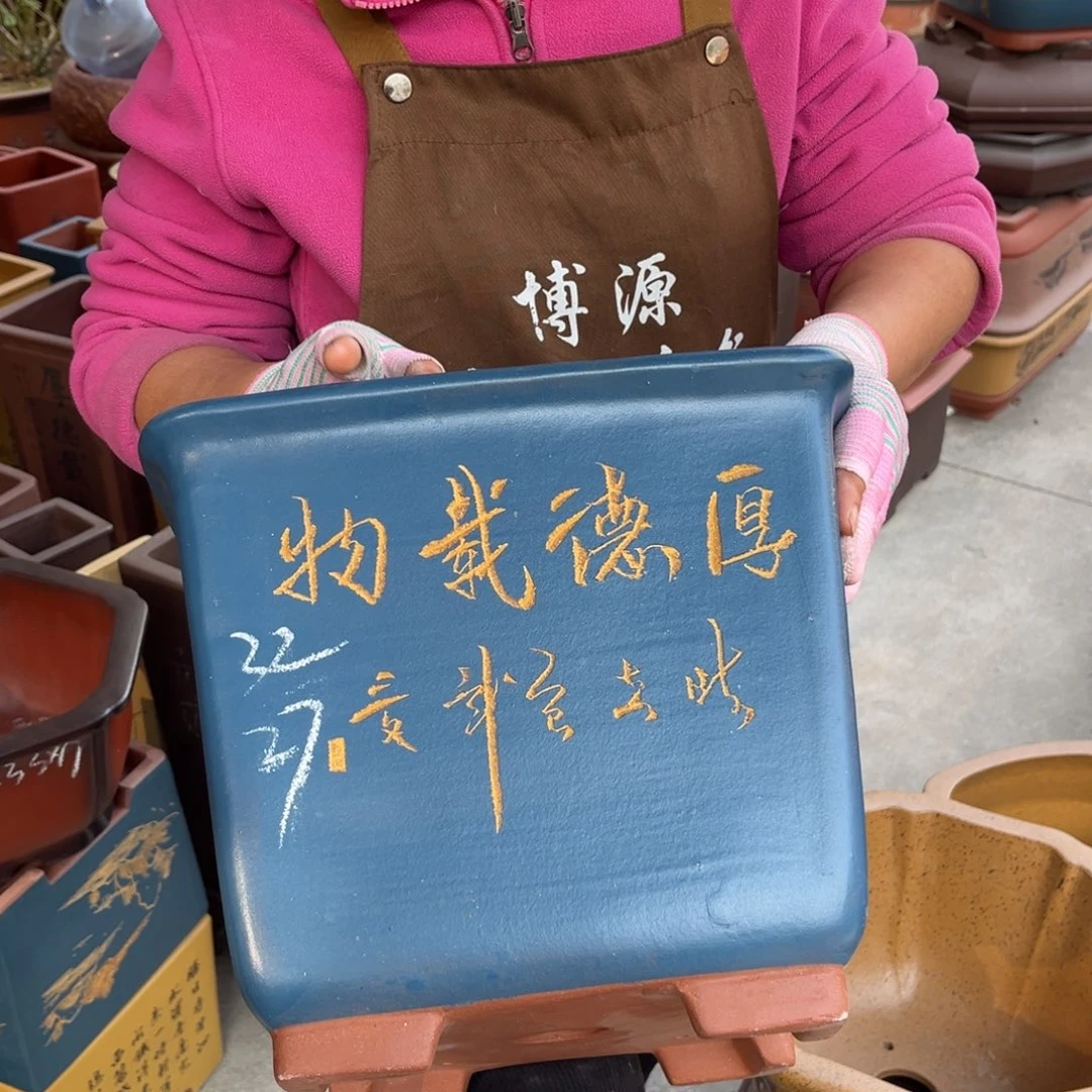 花盆紫砂盆景艺术