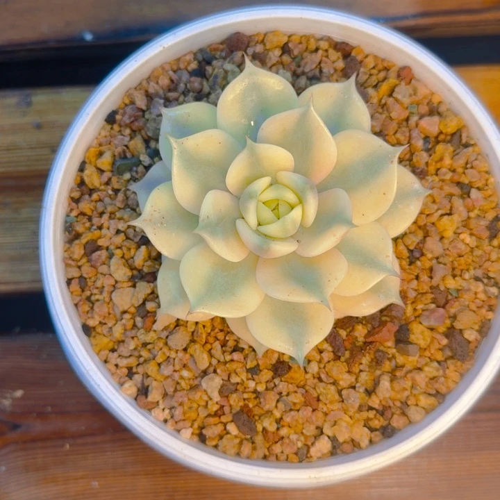 静寄养11111111111111