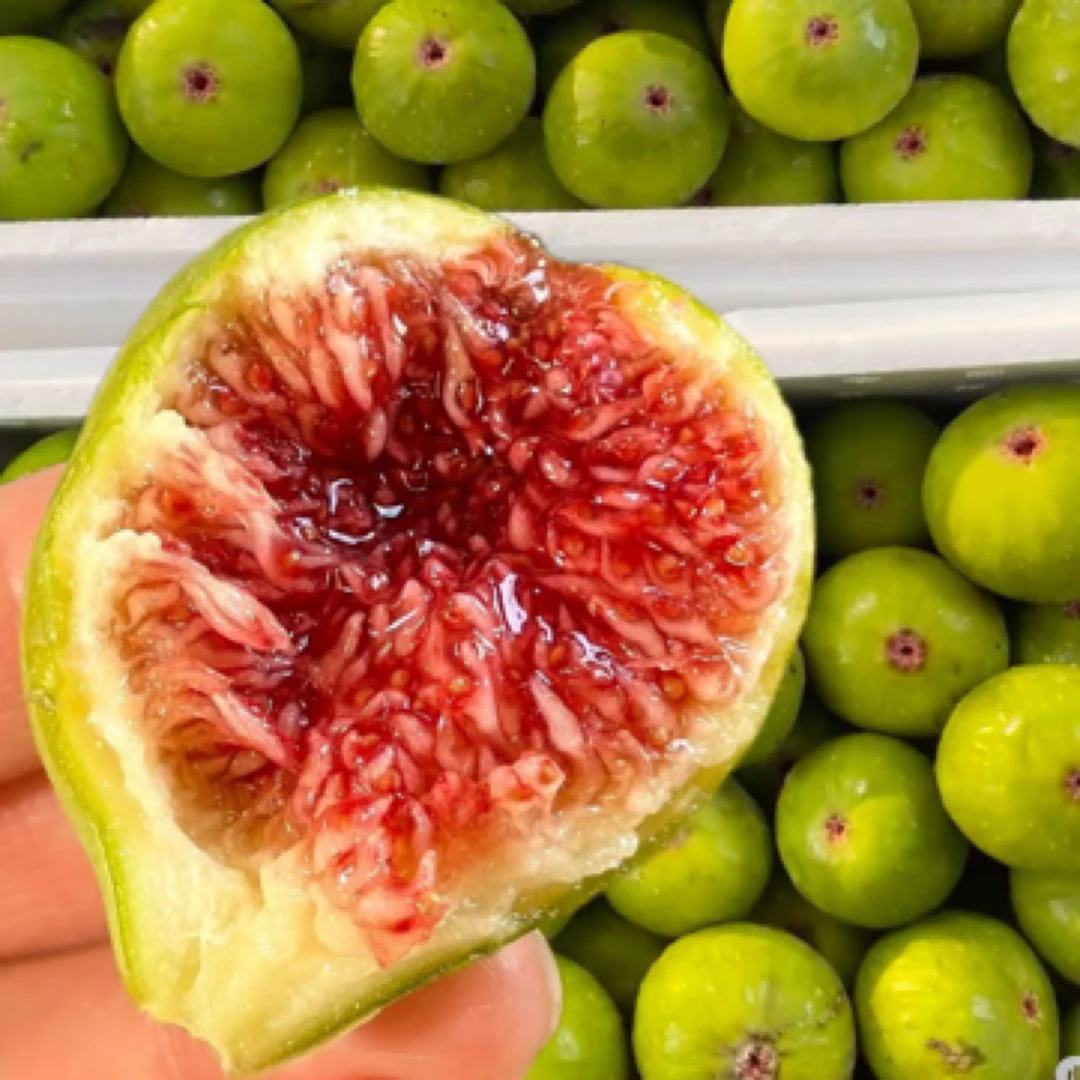 青皮无花果12粒