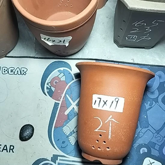 红泥小金钟两个花盆花泥