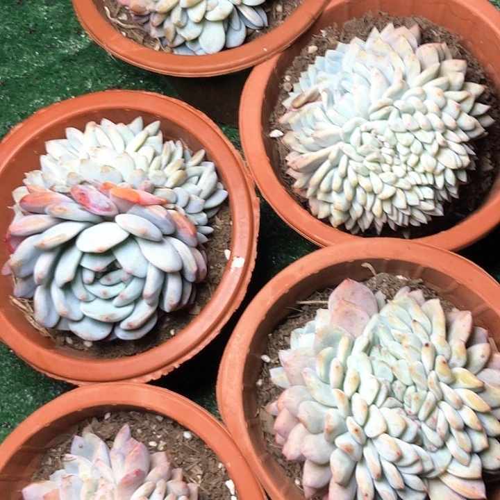 21//////////////////////