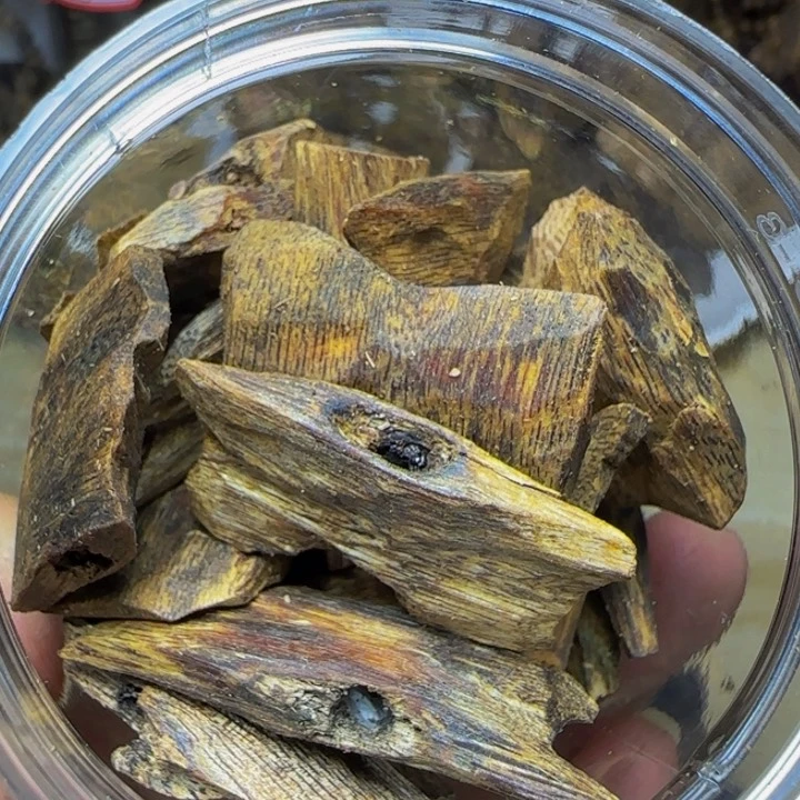 木韩**艺白奇树心老料50克