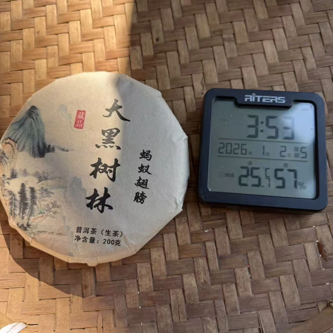 2025年倚邦大黑树林蚂蚁翅膀古树普洱生茶饼200克YHCY12号1月2日