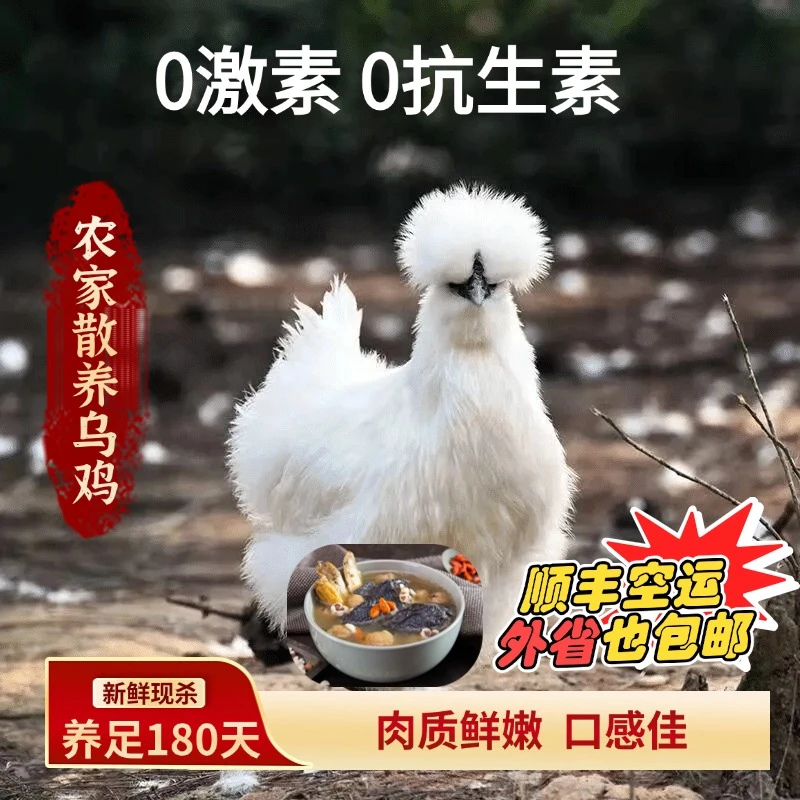 【本地小种乌鸡】散养乌鸡肉质鲜嫩口感佳养足180天+ 包冰率不含冰