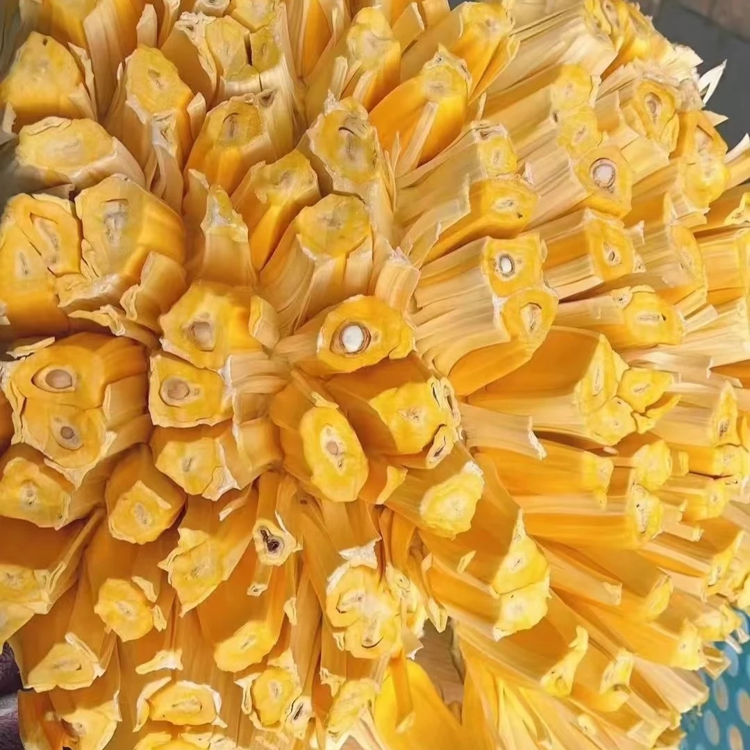 大树菠萝蜜（4.2-5斤可帮开花）