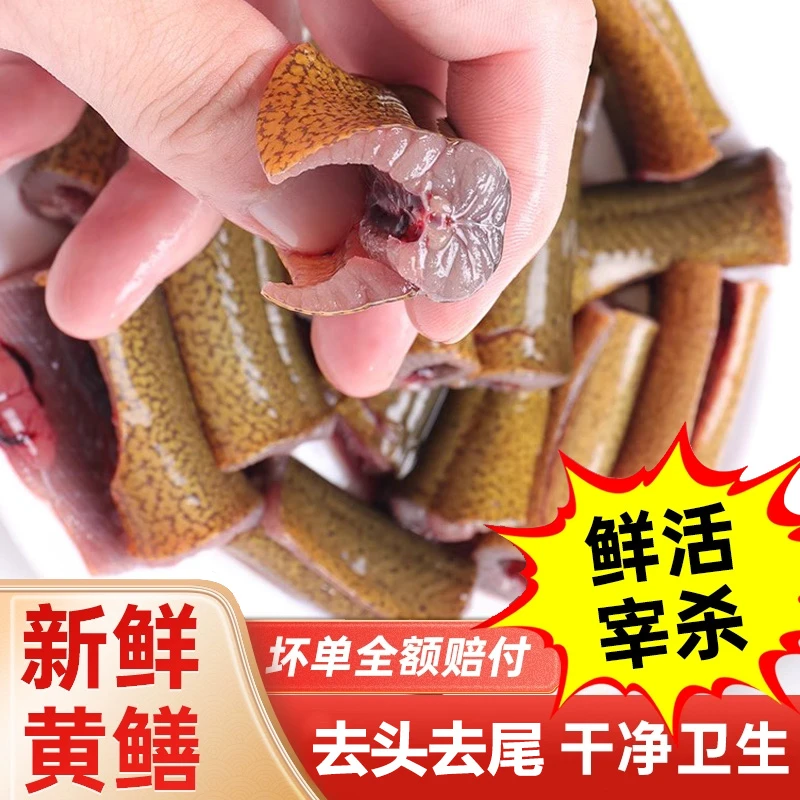 鳝鱼黄鳝鲜活现杀发新鲜发货鳝鱼段口感鲜嫩鳝鱼
