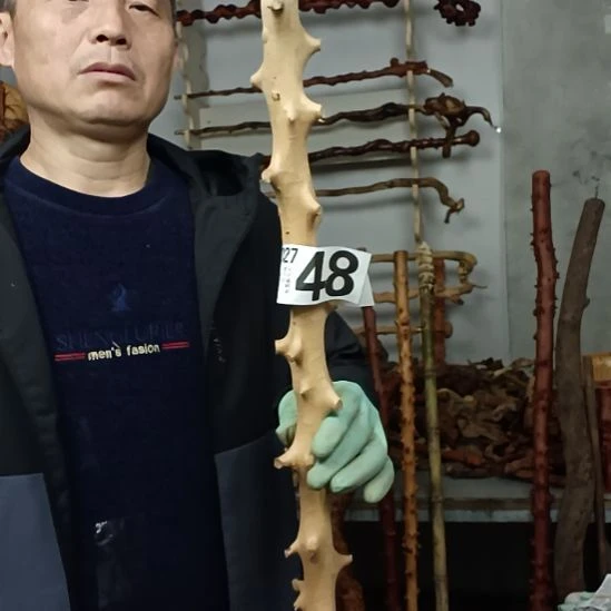 川***哥香榧木高山 檬子木文玩料