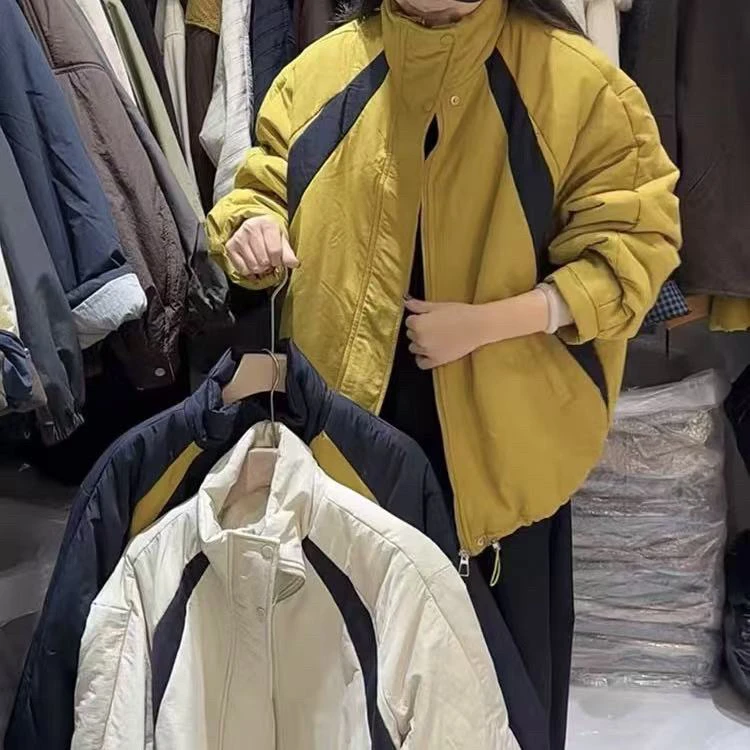 1287秋冬立领夹棉冲锋衣外套