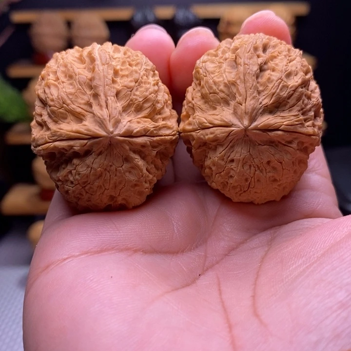 木质类云铁铁狮子三棱62号