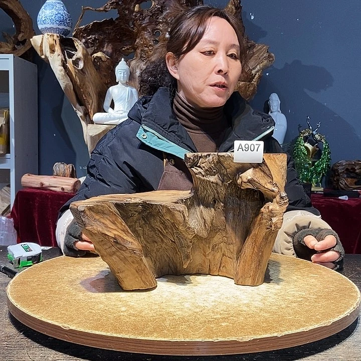 养***事907株木随行的小根艺