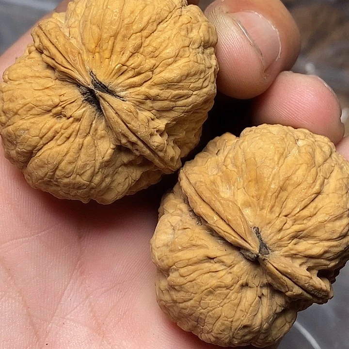 文玩核桃把件云南铁核桃A70