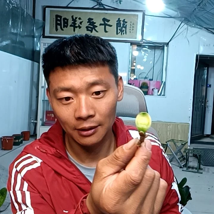 @用户2106591568942