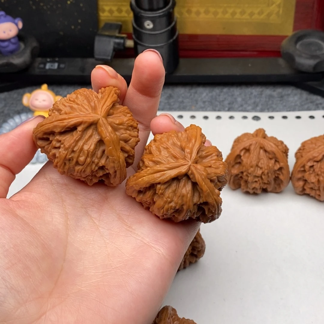 我***情白狮子111111