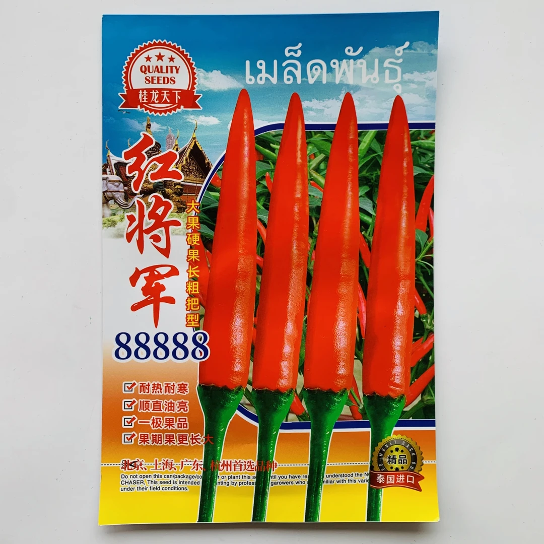 红将军88888大果型朝天椒种子单生中晚熟播种朝天椒种子原装正品