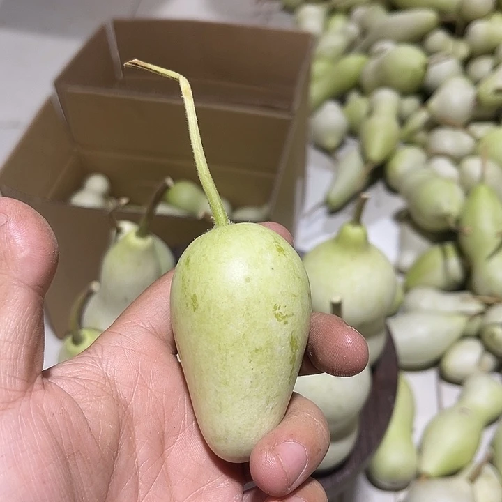 非洲紫檀（红花梨）颜*