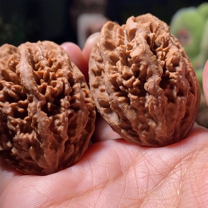 把件文玩核桃东北楸子小路 162