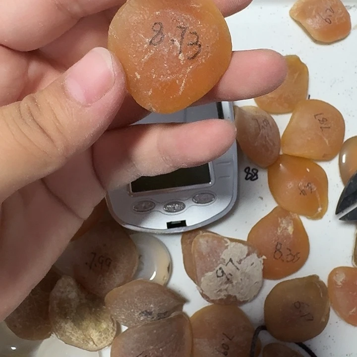 白***扇合金玛瑙/玉髓珠宝奇石鱼石