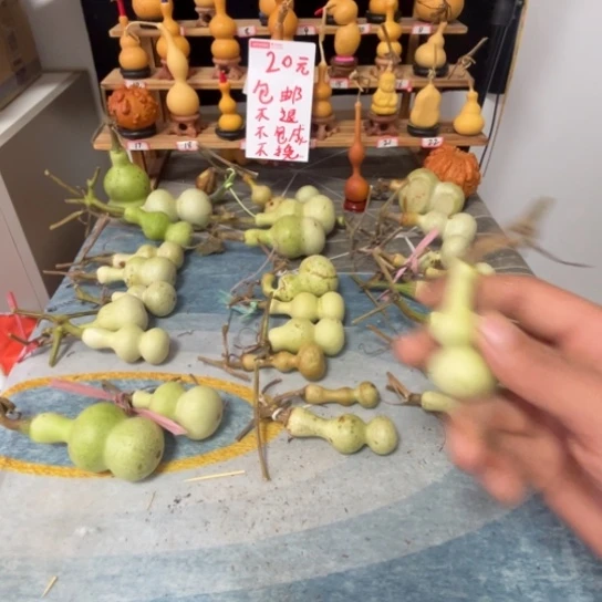 葫芦等各种各样品种