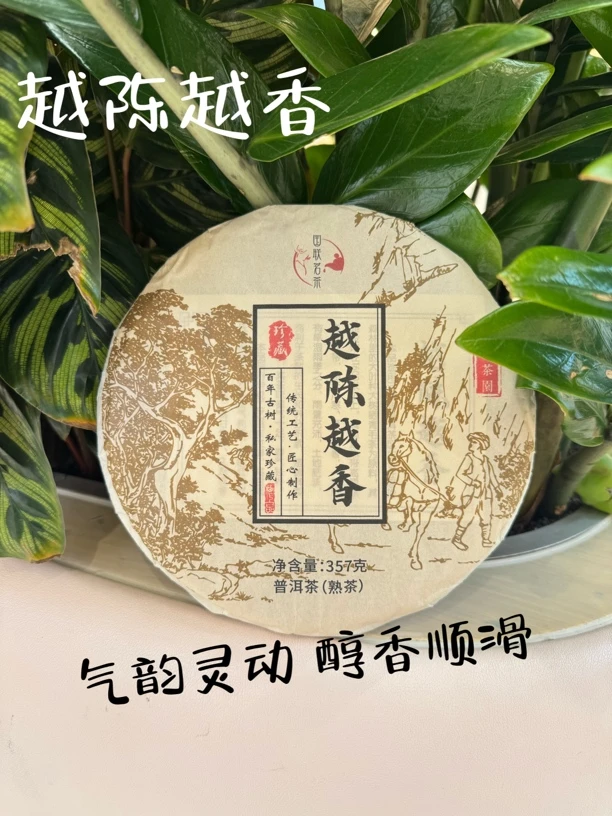 越陈越香：高山云雾出好茶，头春嫩料，陈香绵绵，油润通透，十泡有味