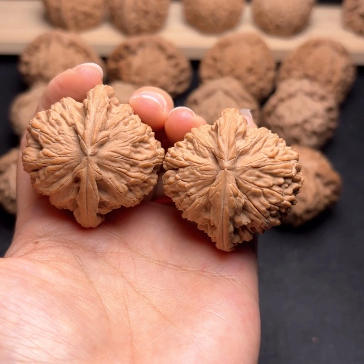 把件文玩核桃41白狮子
