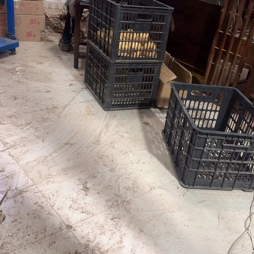 完全开放111111点多就干