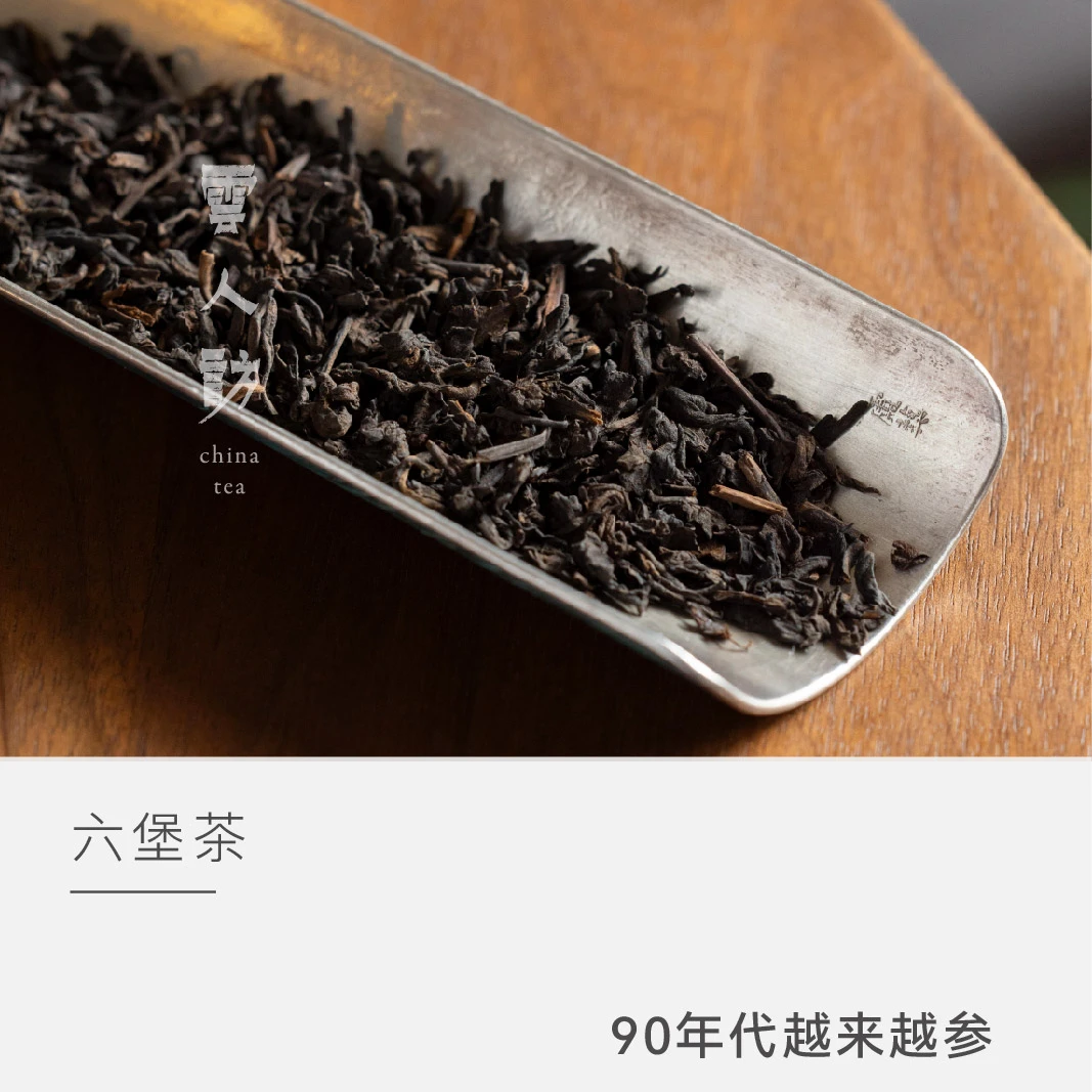 【越来越参】90年代六堡茶 茶叶 黑茶 六堡茶 云人访