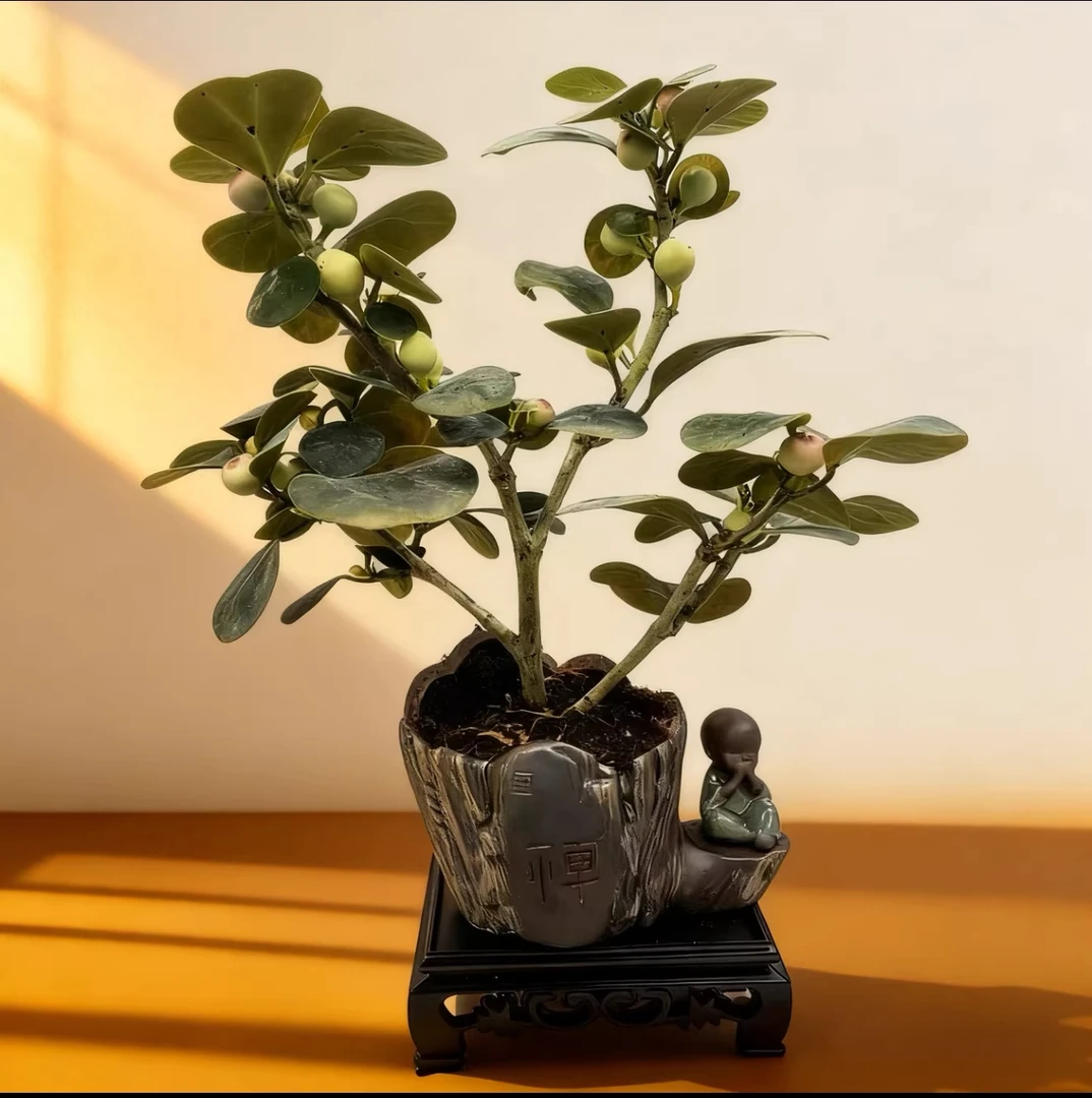 绿植盆栽四季好养适合办公室茶室的中式禅意盆景