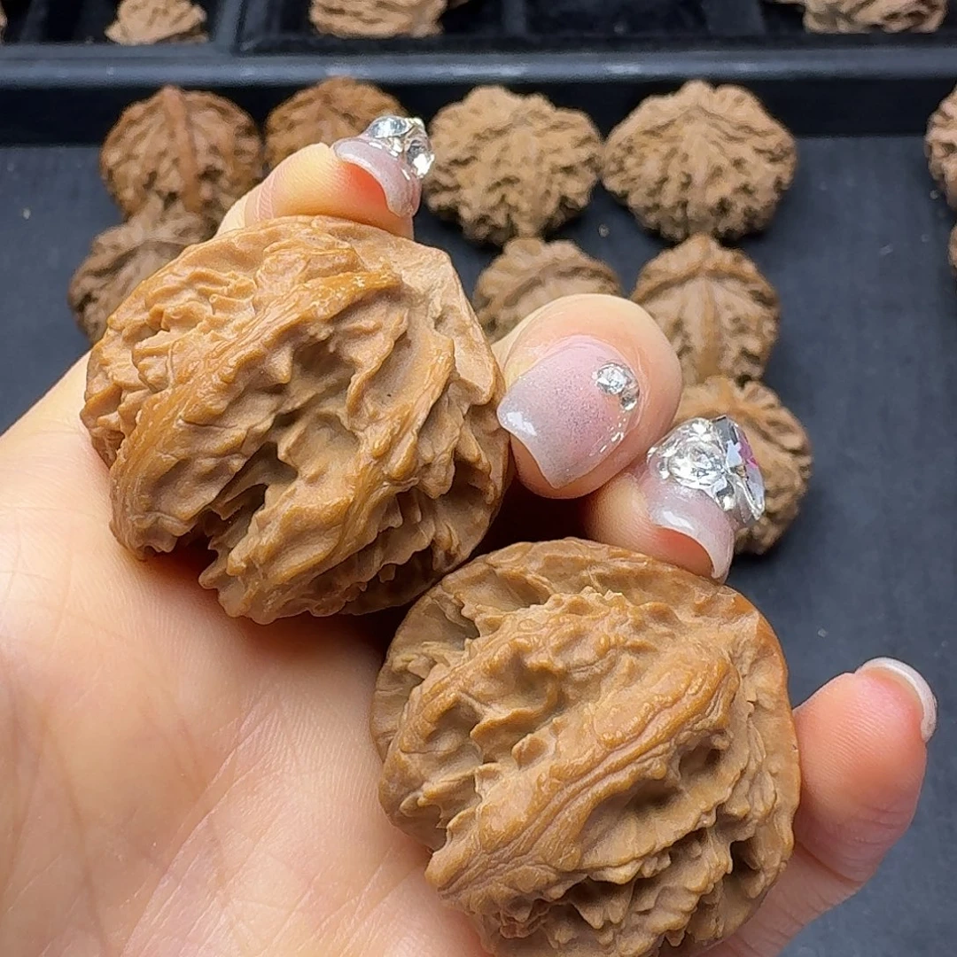 桃木突突突突突突突