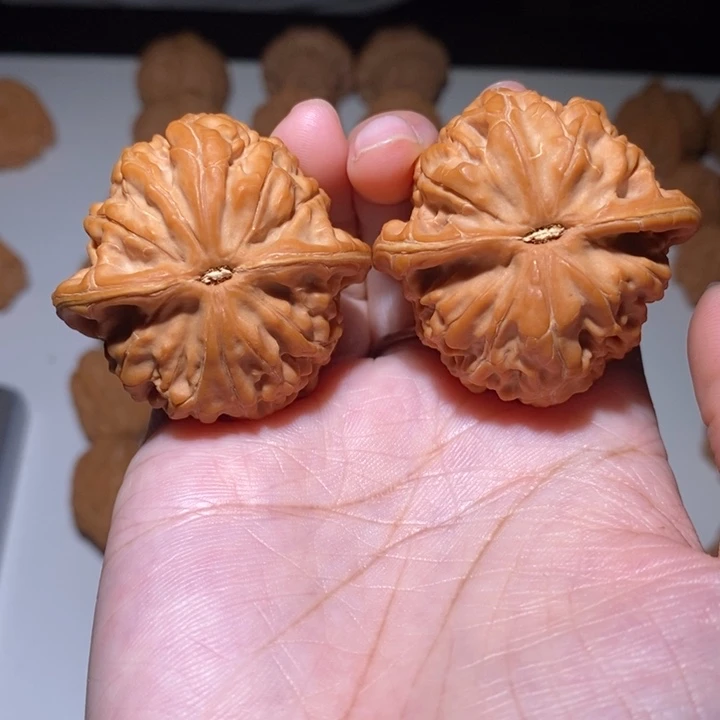 白***易文玩核桃吊坠凤凰台