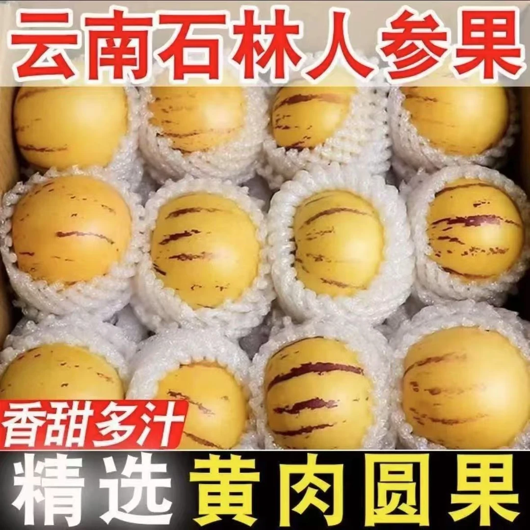 【树上熟】云南石林人参果树上自然成熟黄果新鲜多汁软糯清甜低糖