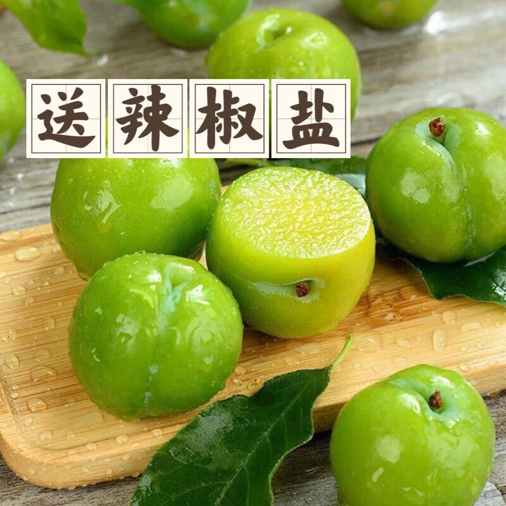 2025当季三月李广东茂名信宜钱排新鲜现摘酸李子酸脆爽口1斤2斤3斤送椒盐粉三月李