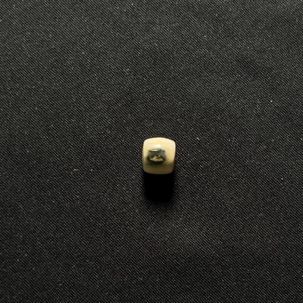 B4305 直切蓝眼桶珠 只做天然猛犸牙