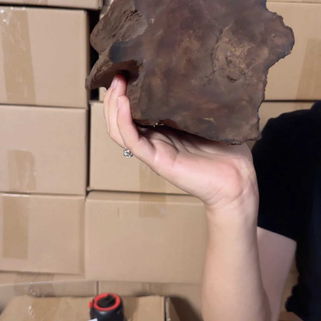 沉香摆件沉香多样性发一件11