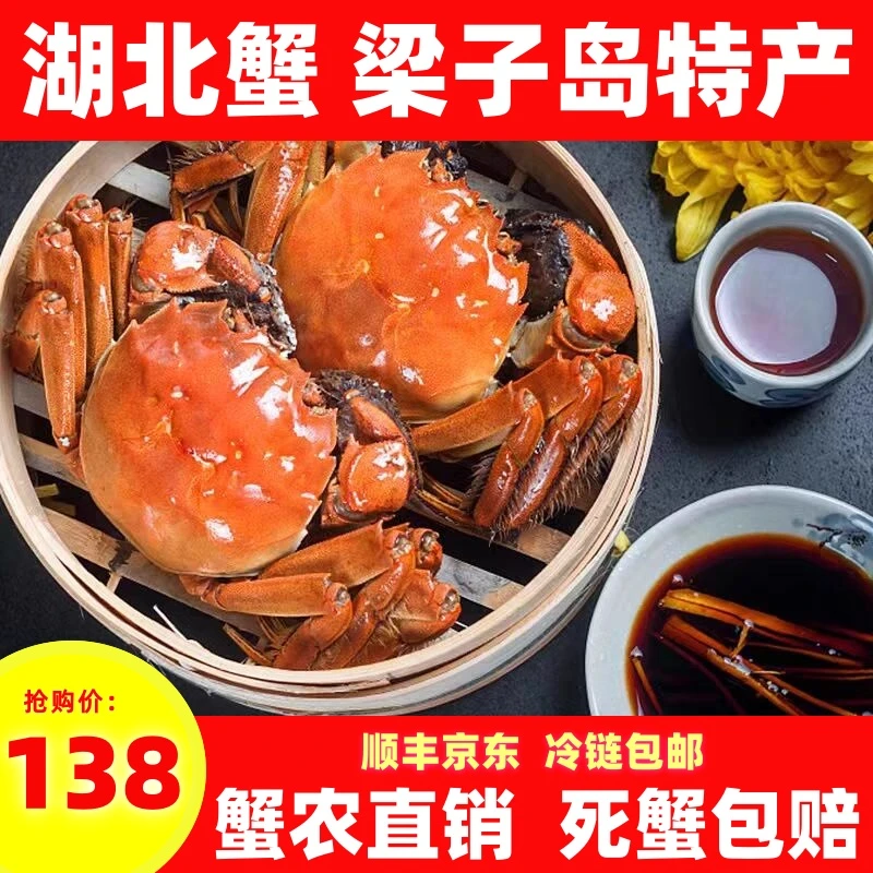 【活蟹】湖北梁子岛全母蟹1.7-2.0两8只加送2中秋礼盒顺丰冷链包邮