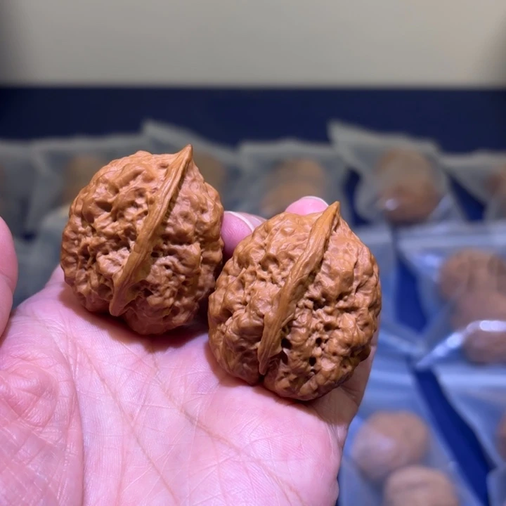 文玩核桃吊坠霸王龙脊