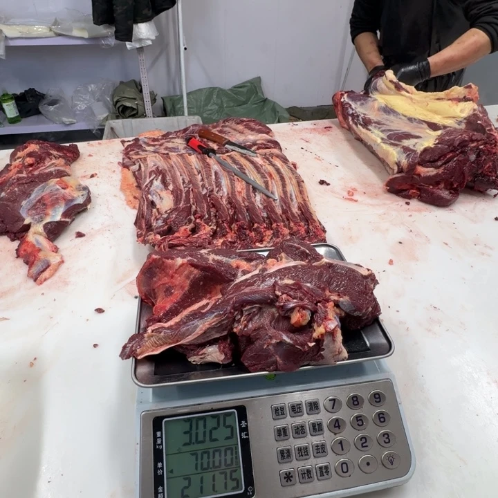 金***叶9个月中国大陆马前腿肉