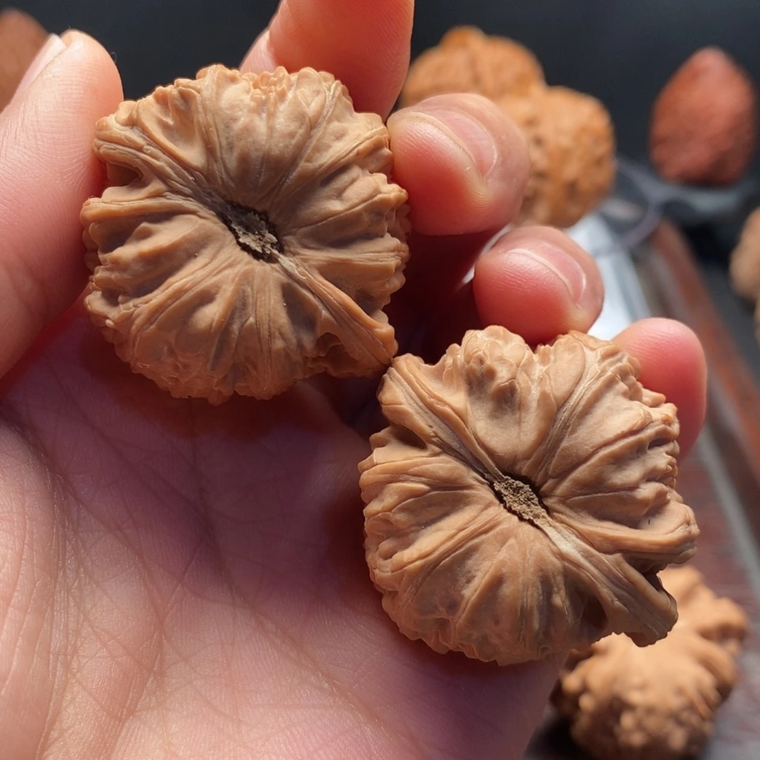 把件文玩核桃全品凹底卡斯兰白狮子