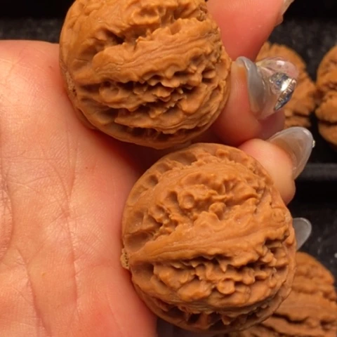 文玩核桃把件秦岭山脉核桃