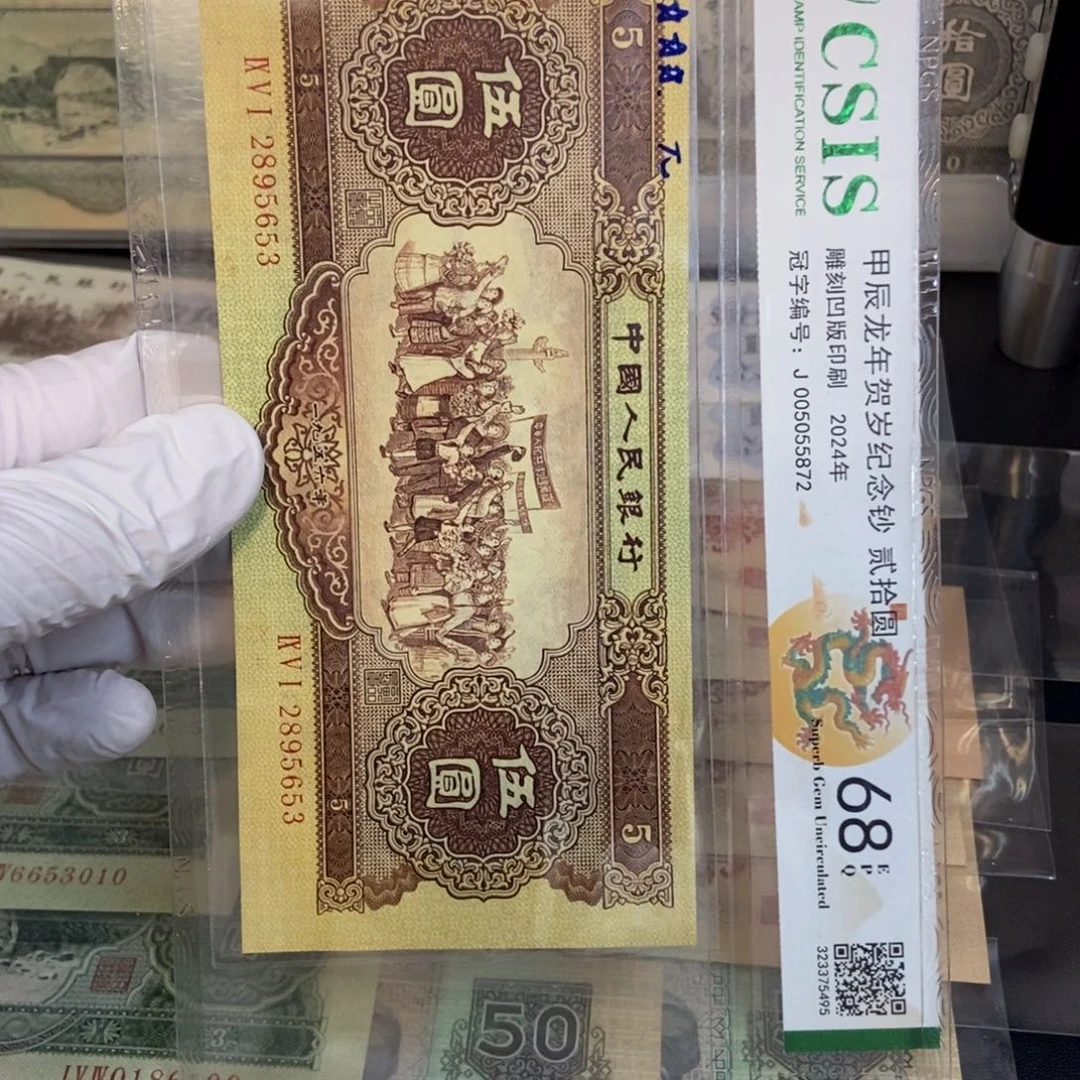 海鸥黄五653nnmnnnmmmnmmmmmmmmmmm