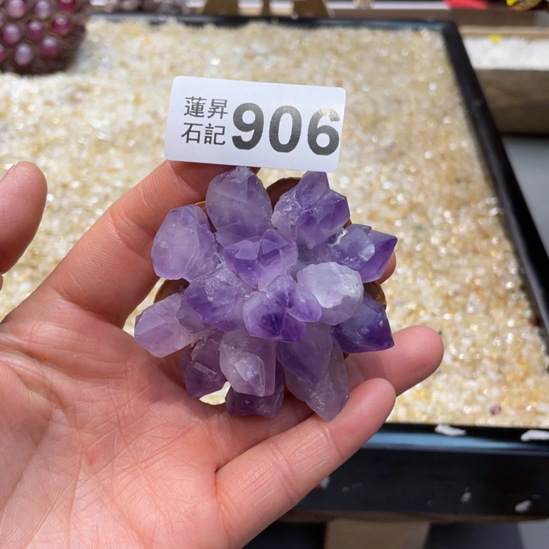 核桃木/黑胡桃（胡桃木）羽*?906