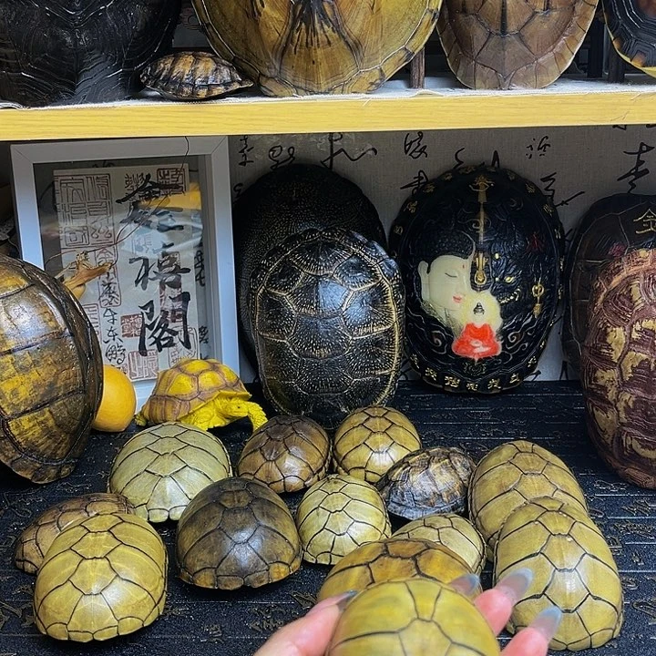 【闪购商品】有机玻璃美*