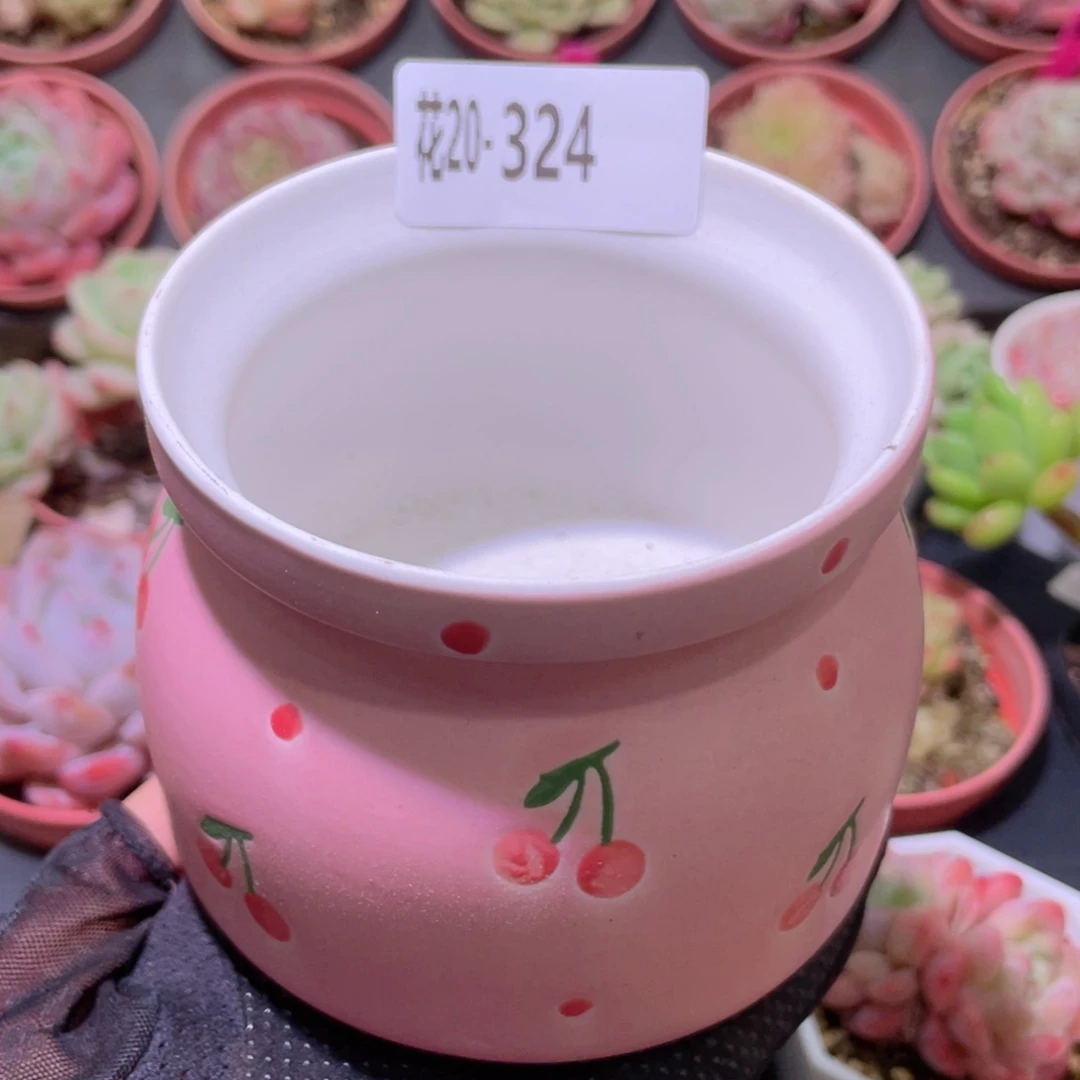 花利美20-324樱桃花盆