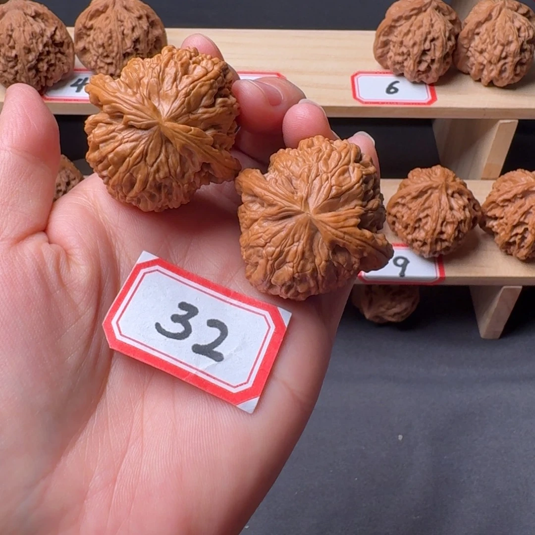 文玩核桃把件白狮子41尺