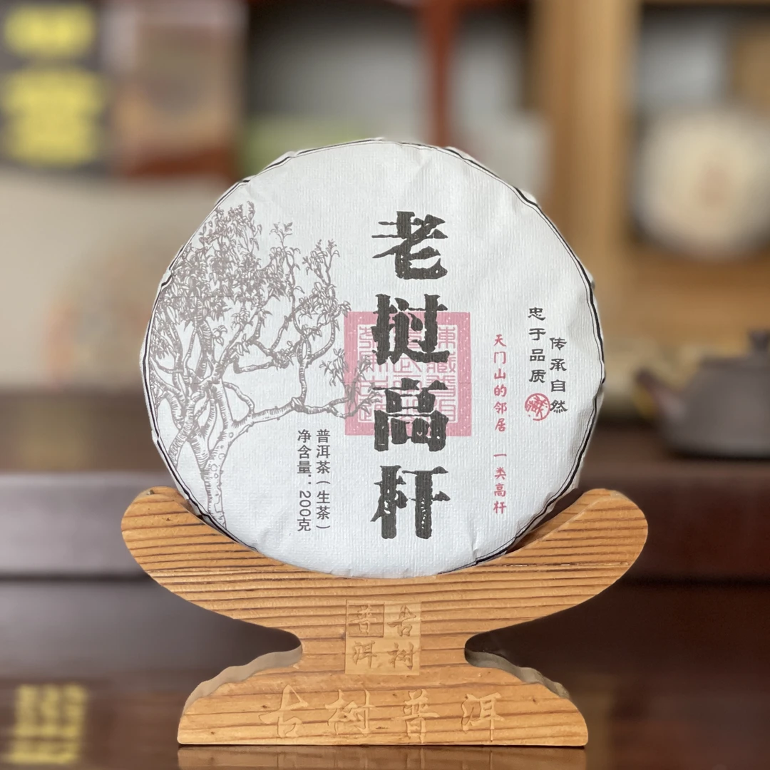 2025年 老挝一类高杆大古树 头春纯料 普洱生茶散料