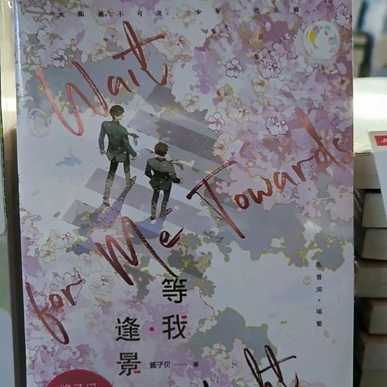 等我逢景 全新正版图书。