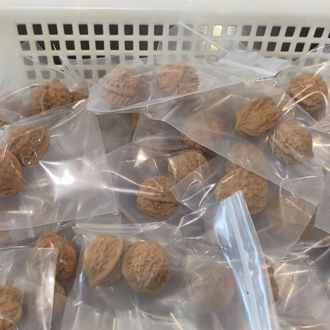 文玩核桃吊坠七步沟