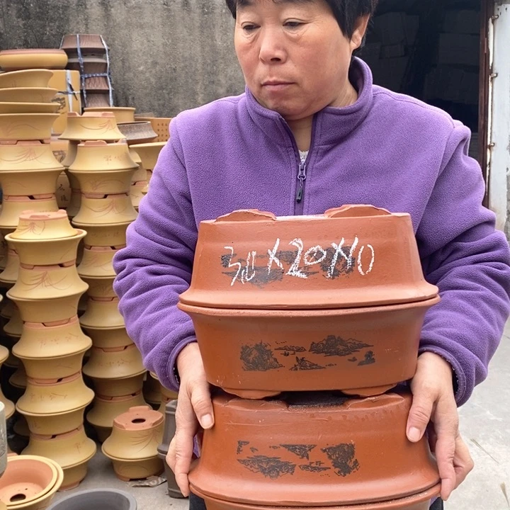 紫砂花盆盆栽花卉苗木种植